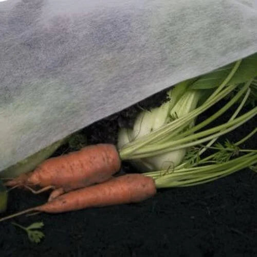 Carrots underneath garden fleece
