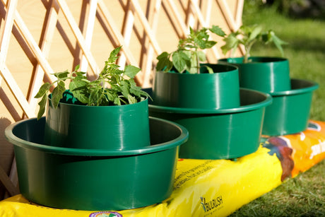 Growpots: The Smart Way to Grow Tomatoes in Containers and Grow Bags