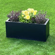 A black zinc metal trough garden planter filled with various plants and flowers, placed on a green grass surface.