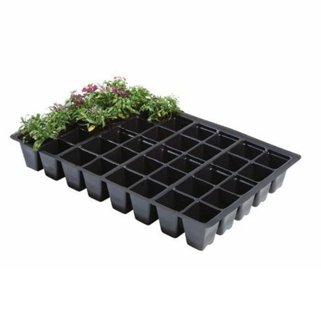 A black plastic seed tray with 40 individual cells, some cells are filled with soil and have young plants growing.