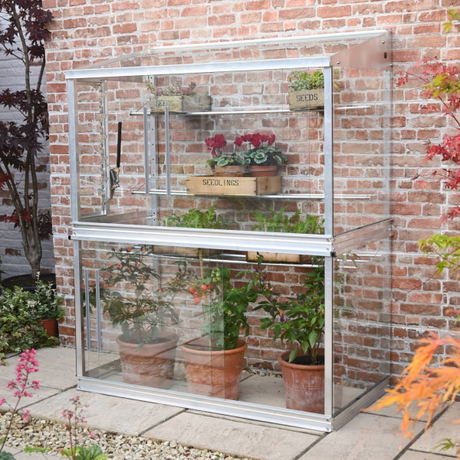 A full wall cold frame greenhouse made of aluminum with toughened safety glass, placed on a garden patio next to a brick wall. It has several shelves with potted plants inside.