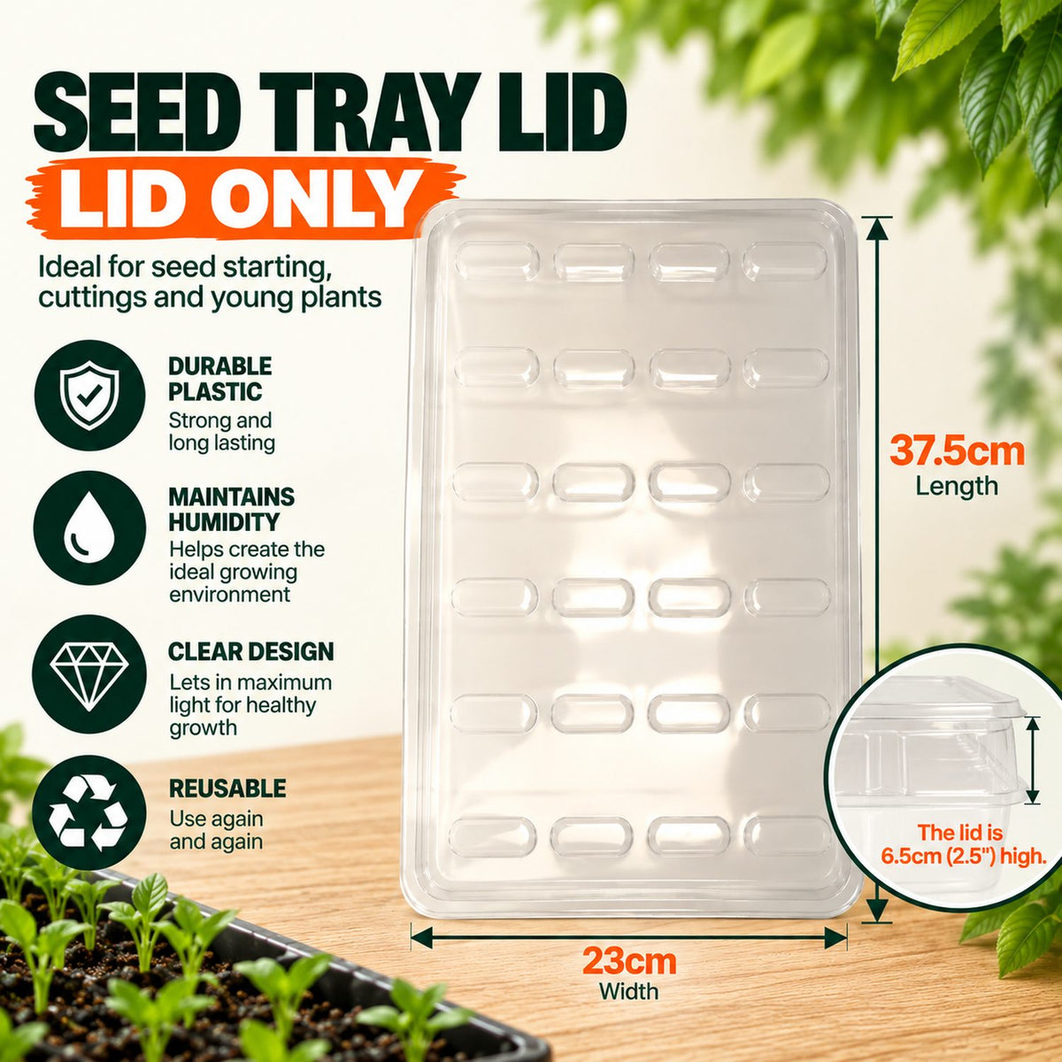 Black Seed Trays & Propagation Lids