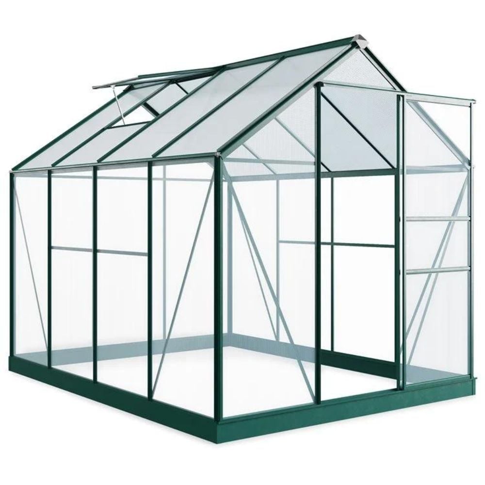 6x10 greenhouse from front on white background
