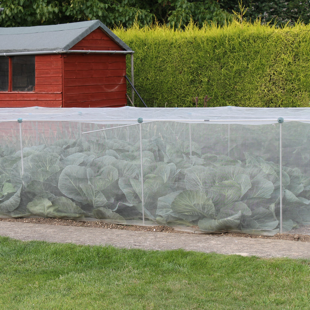 Insect Netting over vegetable patch
