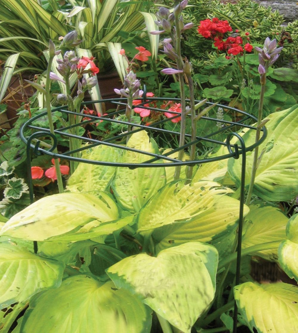 All Round Adjustable Plant Support Rings