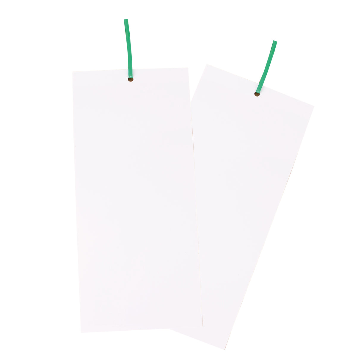 apple sawfly traps and string