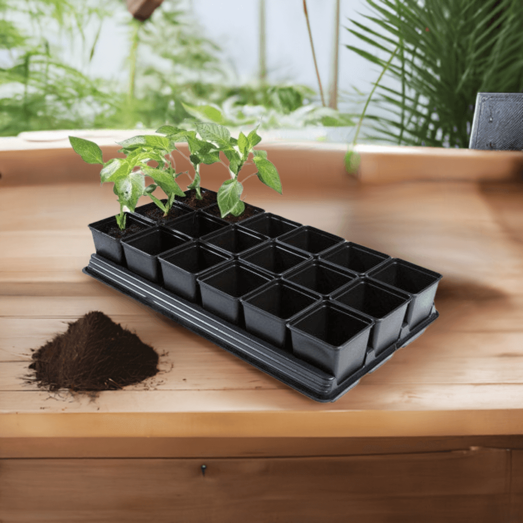 Black growing tray with 18 compartments on a wooden table