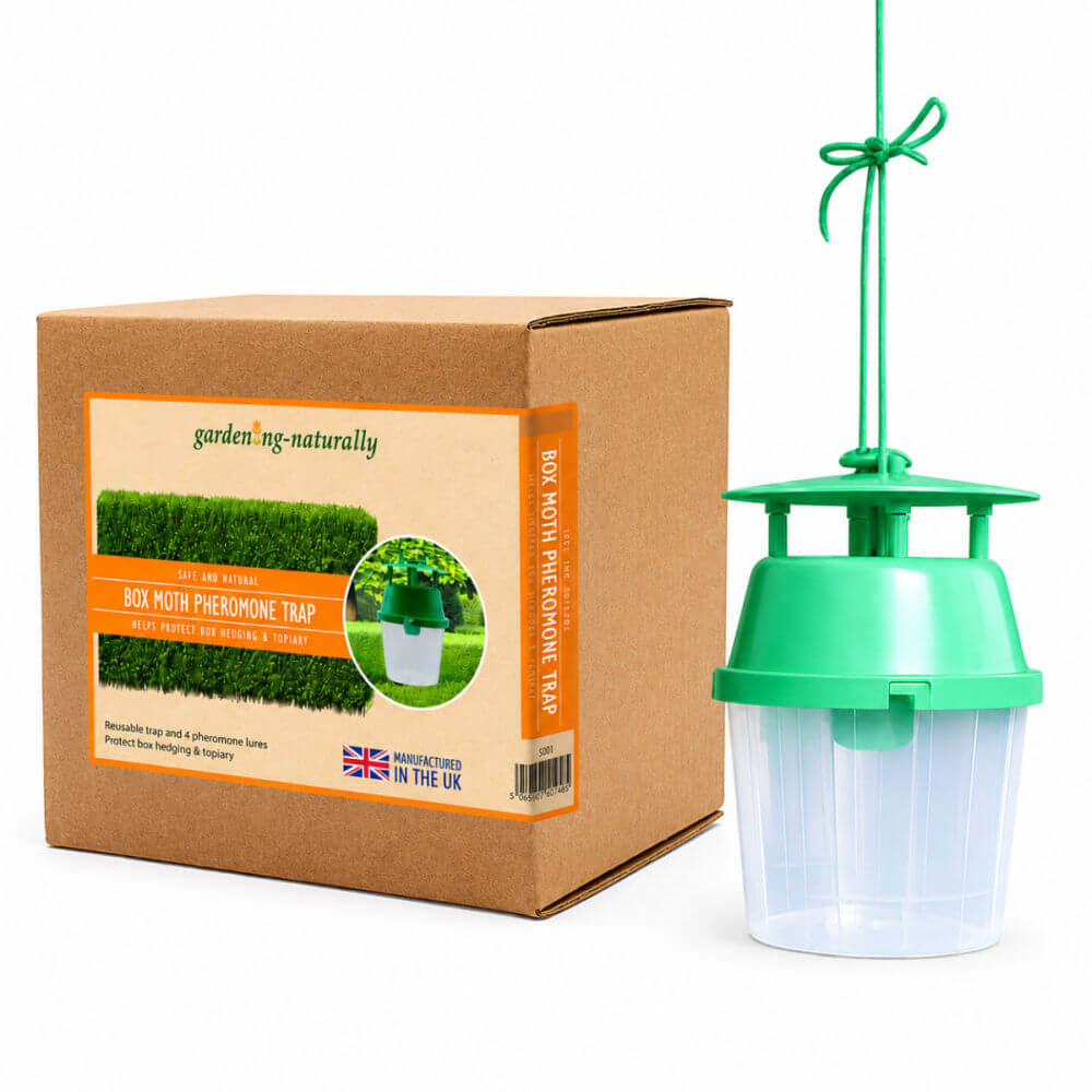 Green box moth caterpillar pest control trap next to its packaging box on a white background