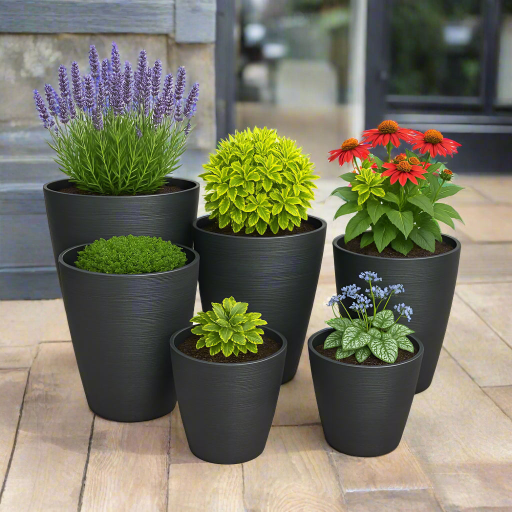 6 plant pots outside a house with plants in