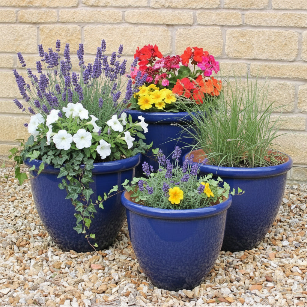 Blue ceramic plant pots in garden on gravel