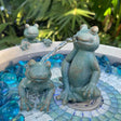 Frog-themed water fountain with decorative stones