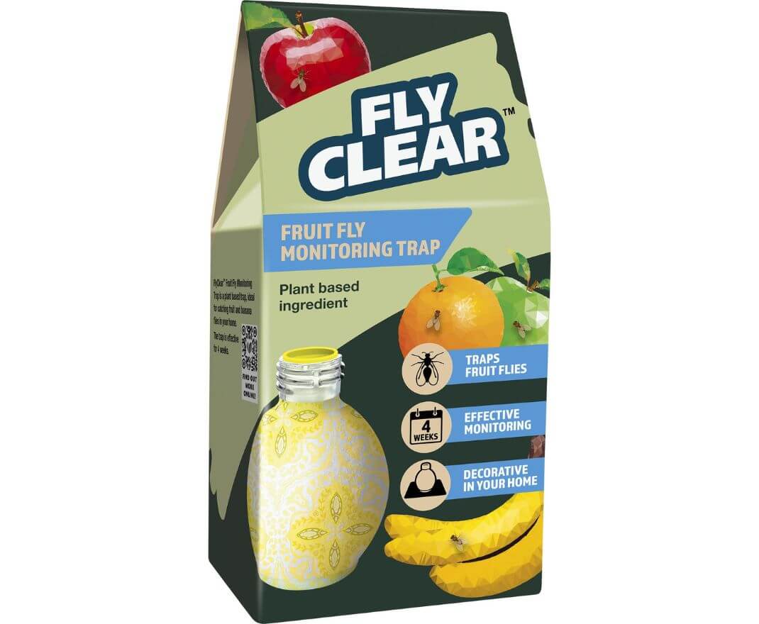Box Fruit Fly Trap