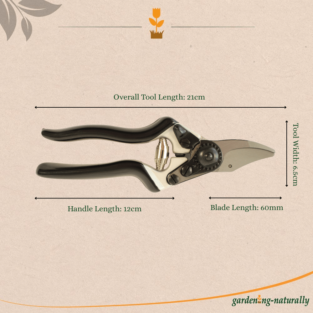 Gardening pruners with measurements on a beige background