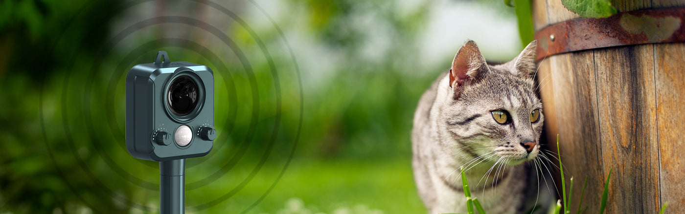 Ultrasonic cat repellent