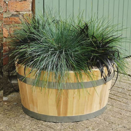Wooden planter with grass plant
