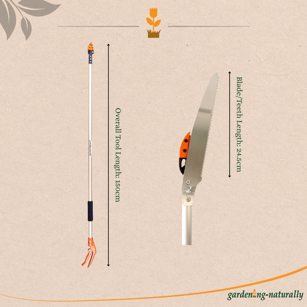 Gardening tool with measurements on a beige background