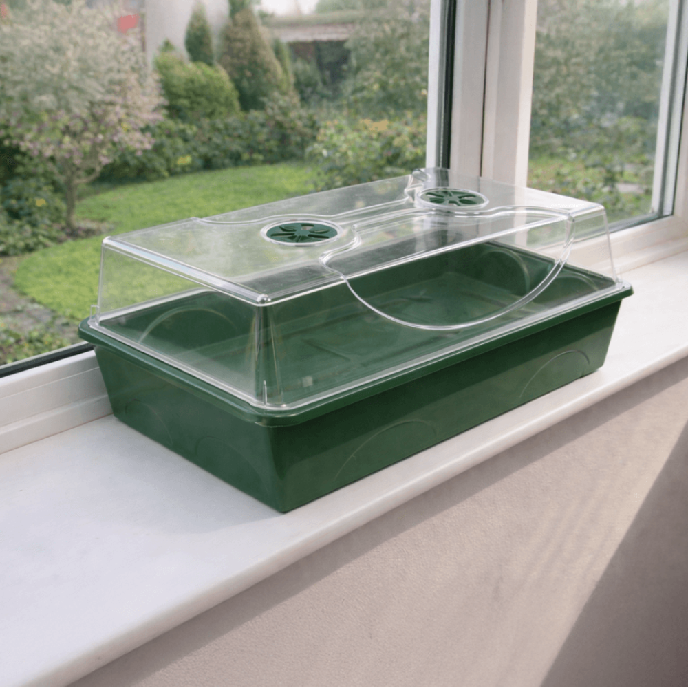 Green propagator with clear lid on a windowsill with a garden view outside.