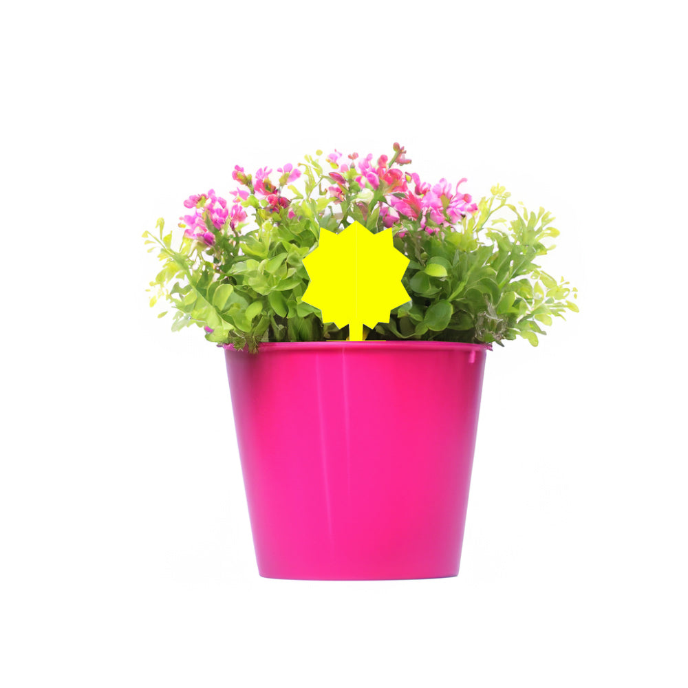 Pink flower pot