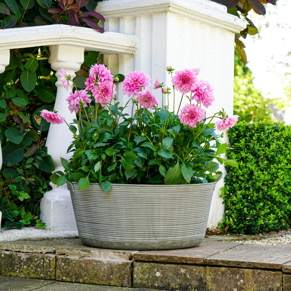 Oval Planter with pink flowers