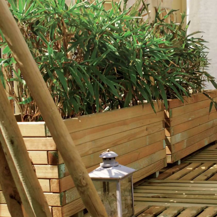 Large Scots Pine Wooden Planter