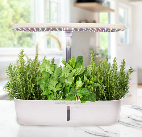 Propagator white pod for kitchen