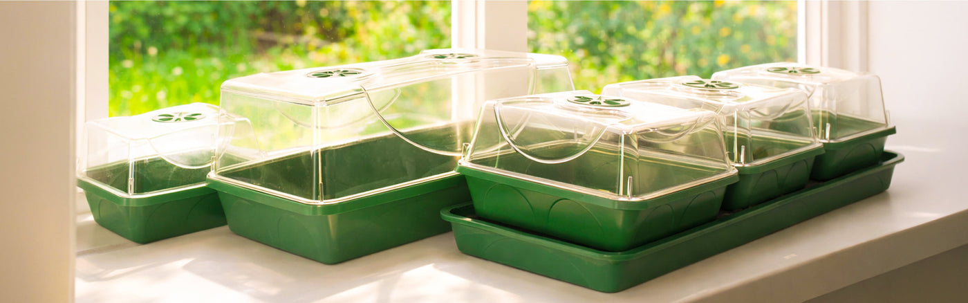 Propagators on a windowsill growing