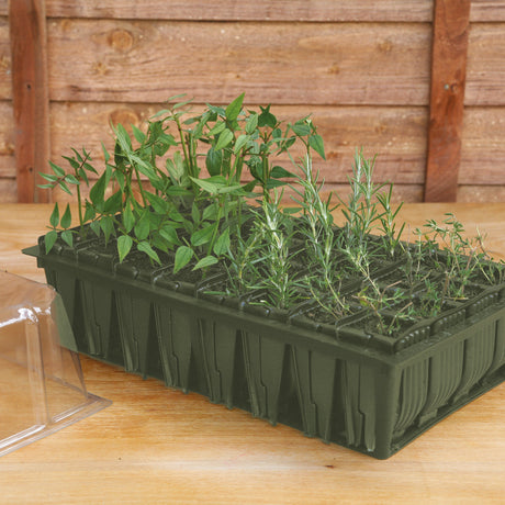 Rootrainers with plants in on wooden table with wooden fence in background
