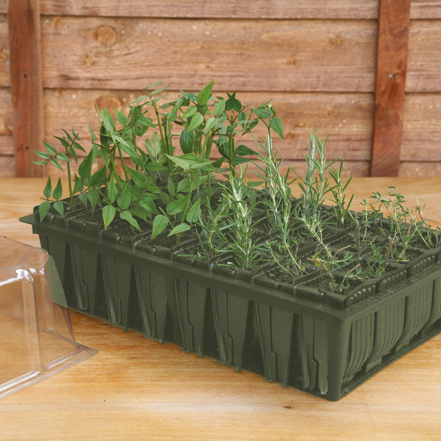 Rootrainers with plants in on wooden table with wooden fence in background