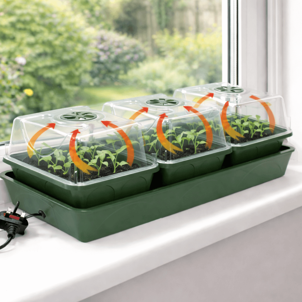 Green propagator seedling tray with transparent covers on a windowsill, showing small plants with 3 bays