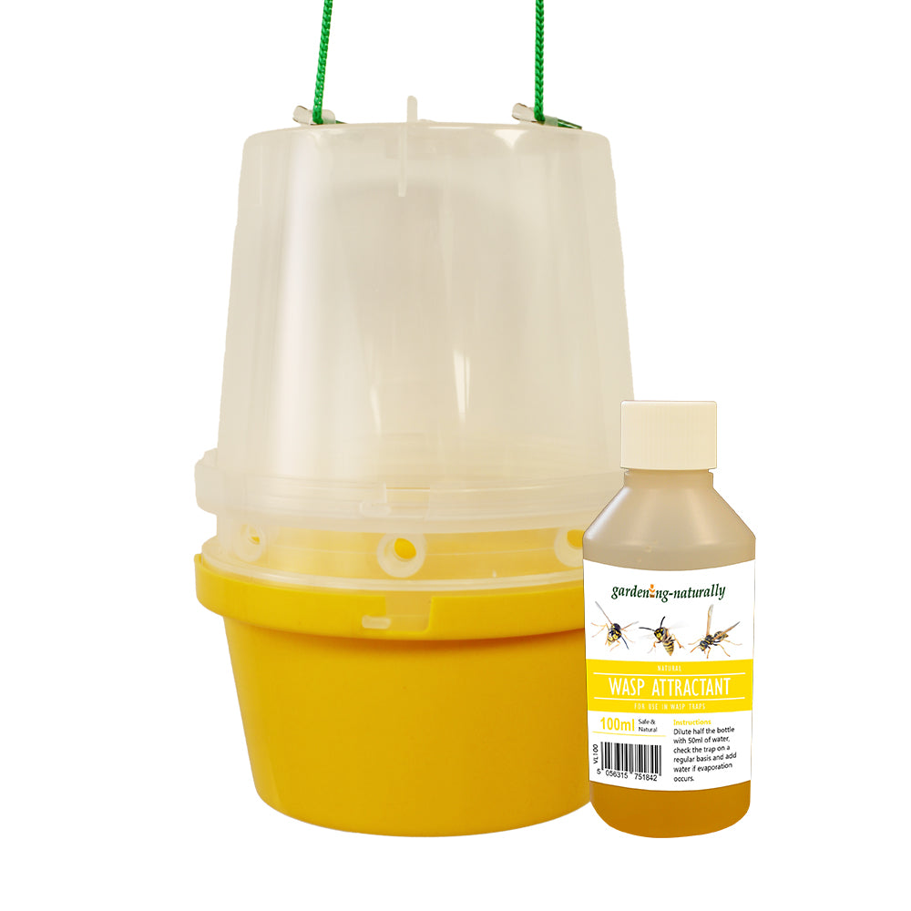 wast trap with attractant