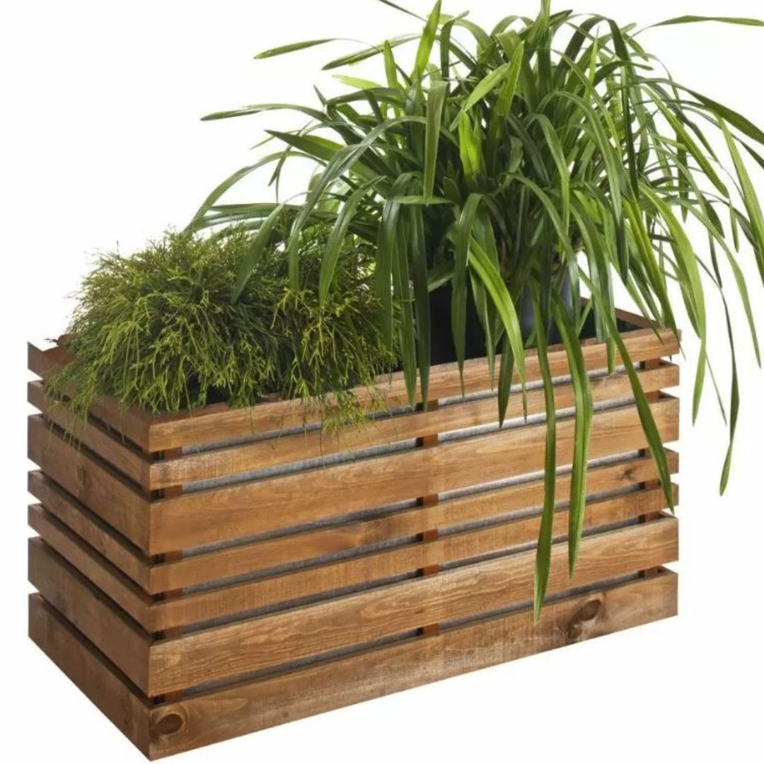 Wooden planter box with green plants on a white background