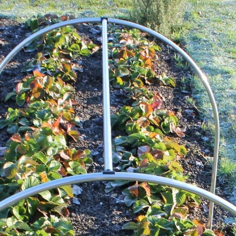 Aluminium hoop support over vegetables