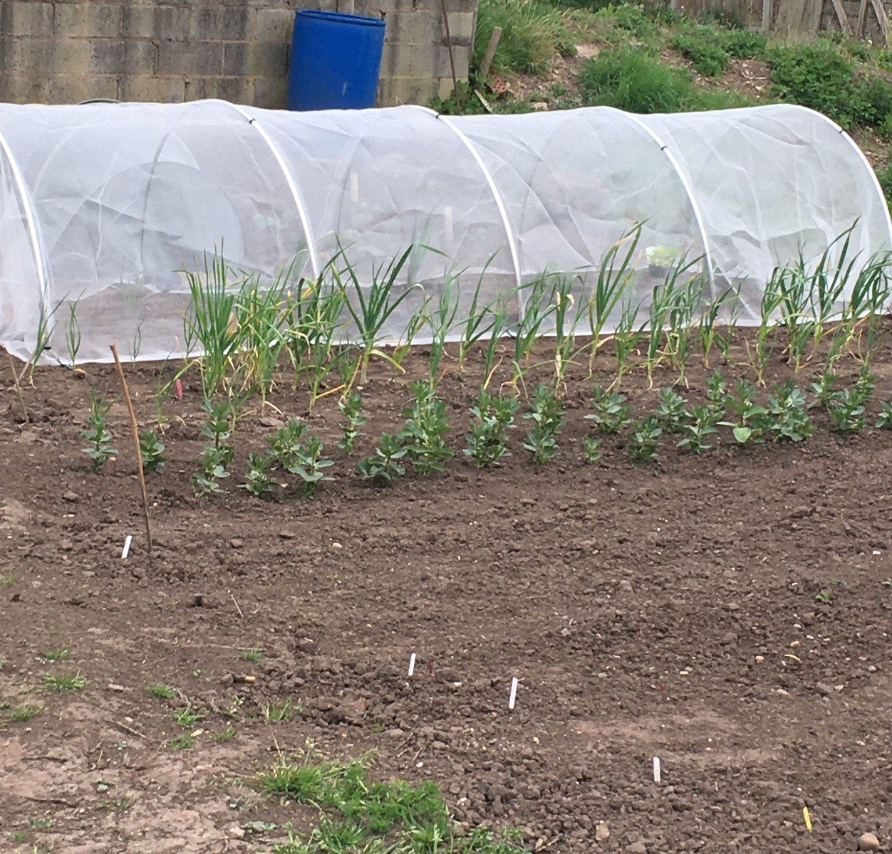 ultra fine large aluminium hoops