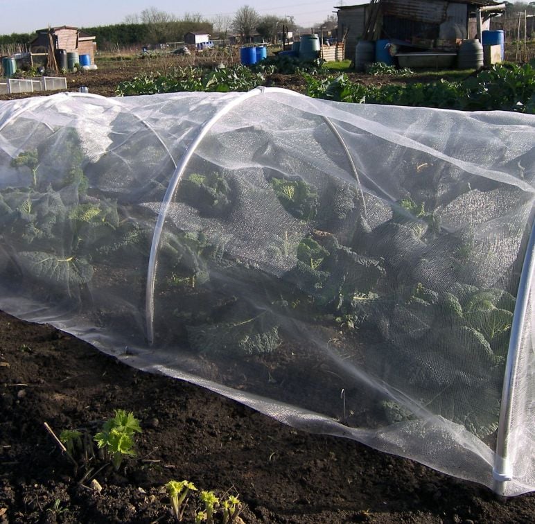 A small round aluminium garden hoop tunnel kit used to protect plants, seen covering a bed of young plants.