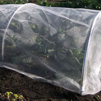 aluminium hoop tunnel