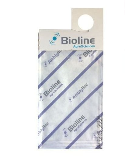 Natural Thrip Control with Amblyline cucumeris
