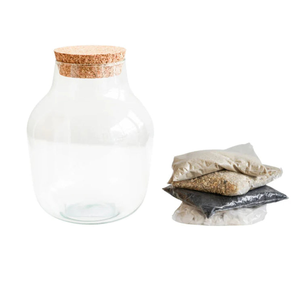 angluar glass terrarium small kit