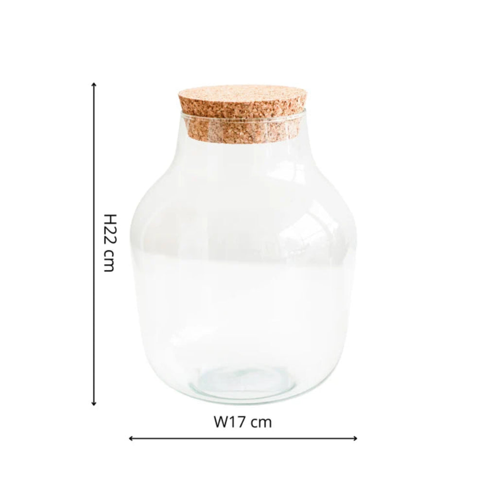 angluar-small-glass-dimensions