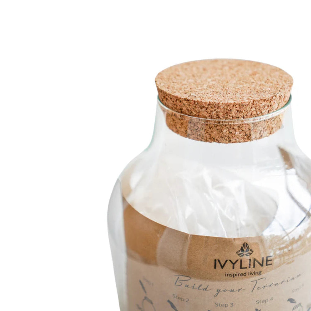 instructions in the angluar terrarium kit