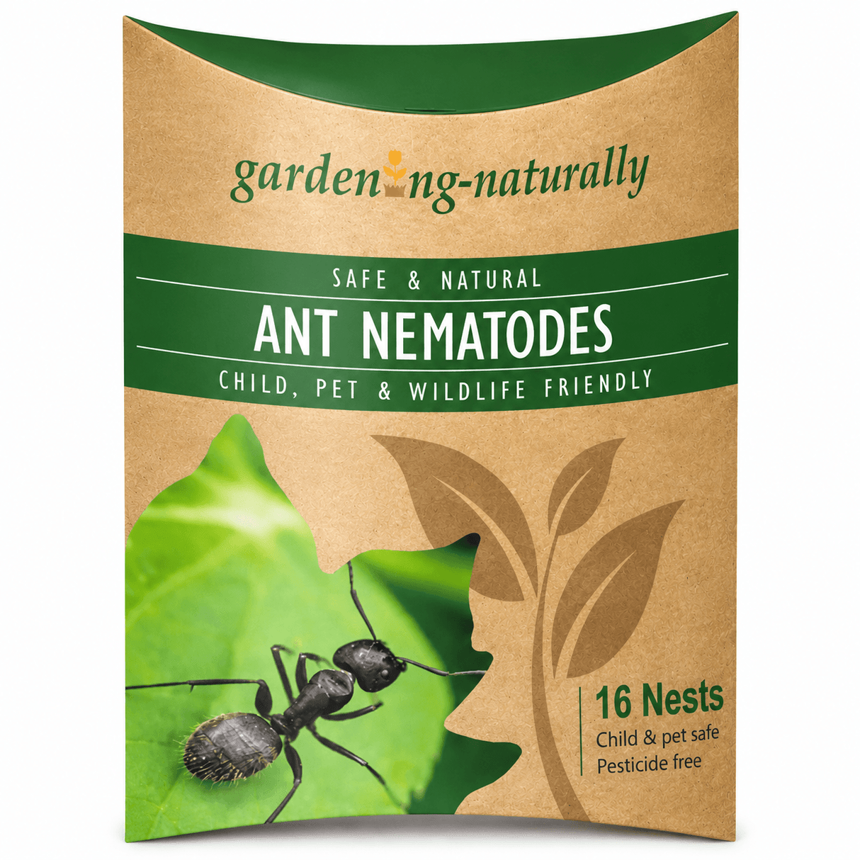 ant nematodes 16 nests