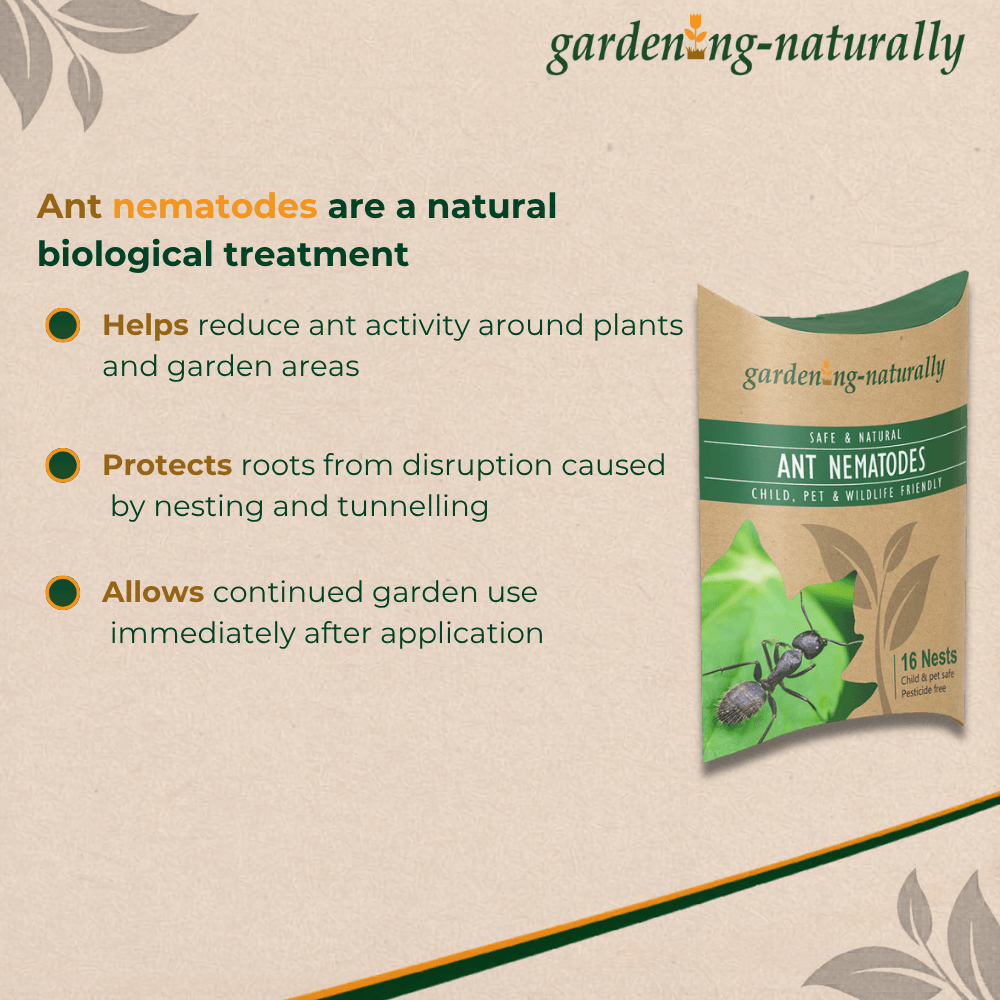 Gardening Naturally ant nematodes packaging with product description on a beige background