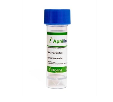 A clear plastic bottle labeled 'Aphiline'