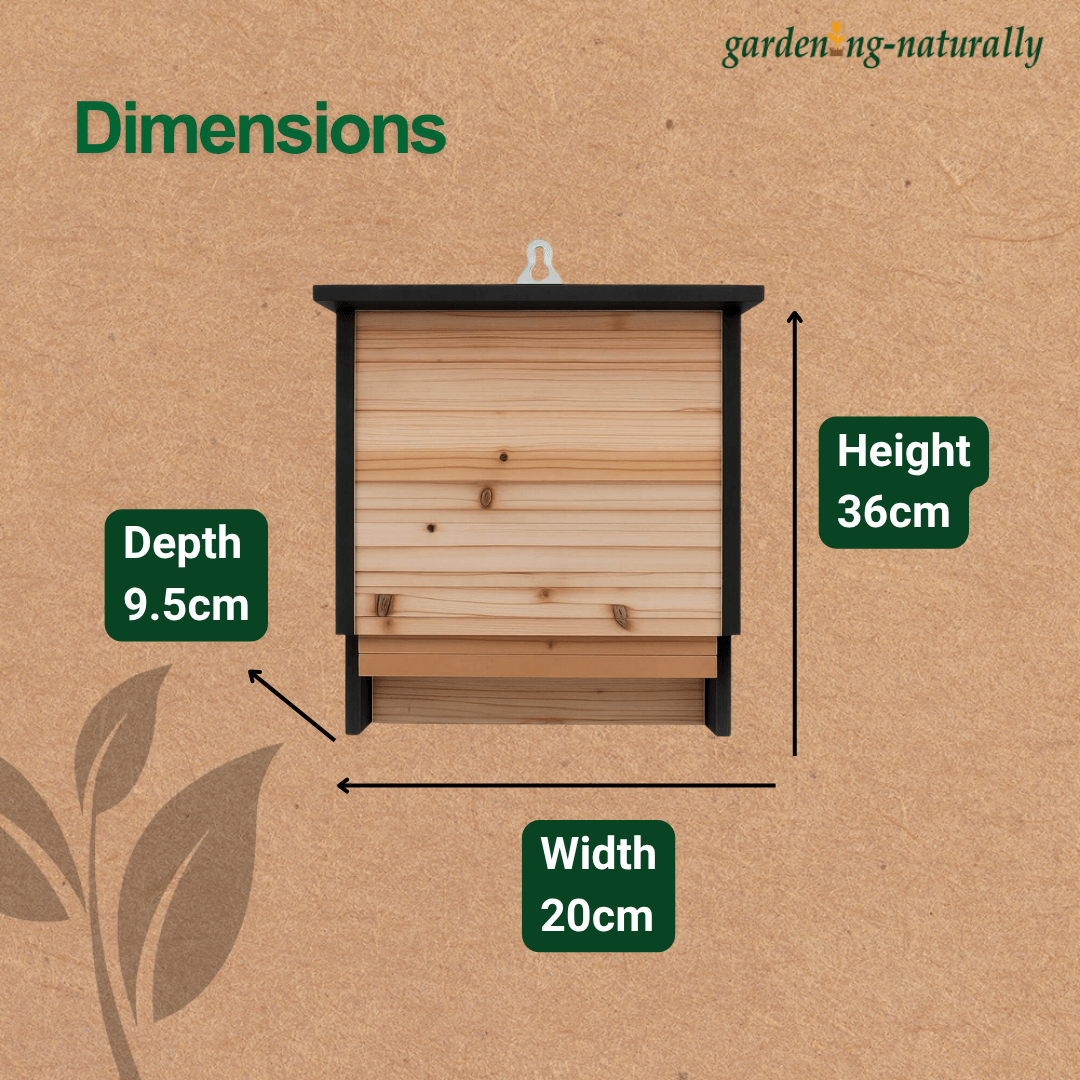 Dimensions diagram of the size of the bat box