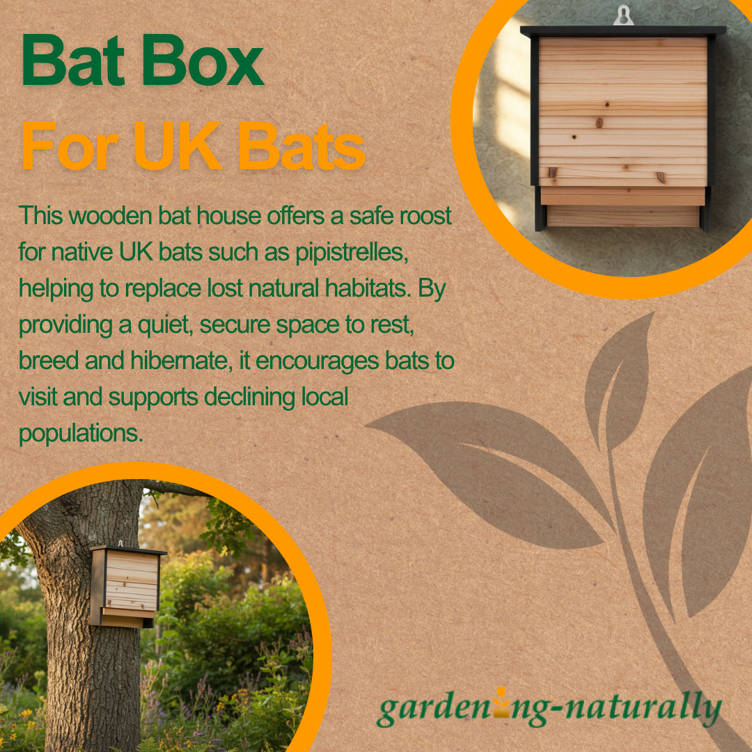 bat box on a wall and bat box for uk bats graphics