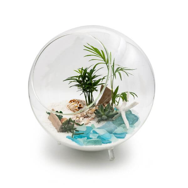 Terrarium Filler Kit – Decorative Gravel Mix