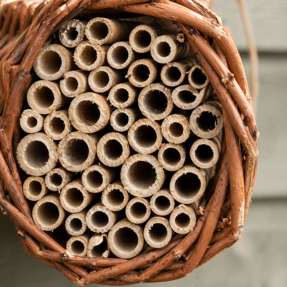 Bee hotel made of natural materials with wooden tubes.
