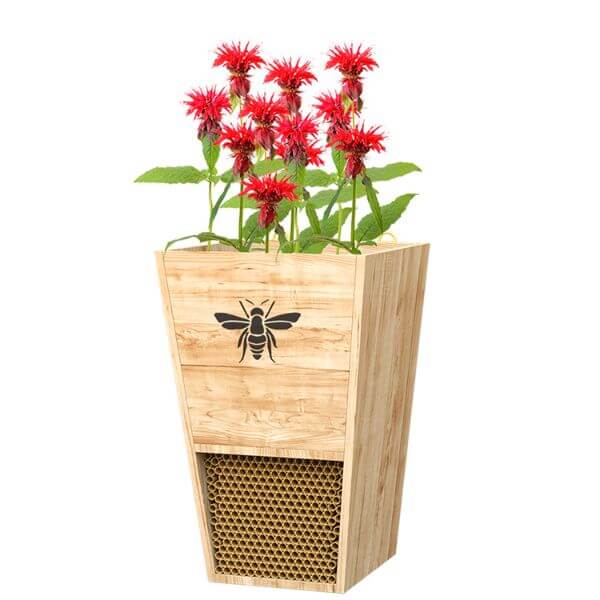 A Wooden bee house planter with red flowers