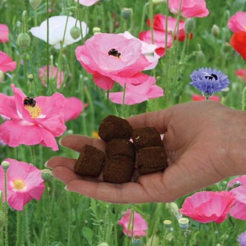 Wild flower seed bombs in a hand infront of a picture of garden