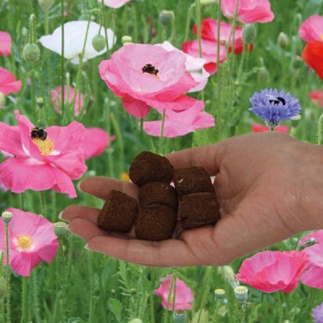 Wild flower seed bombs in a hand infront of a picture of garden