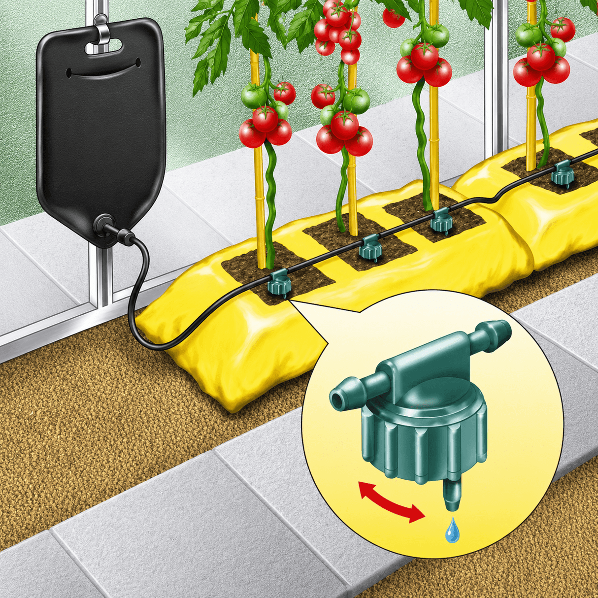 Illustration of a greenhouse drip watering system, showing a water reservoir bag, irrigation tube, and adjustable drippers placed under plants.
